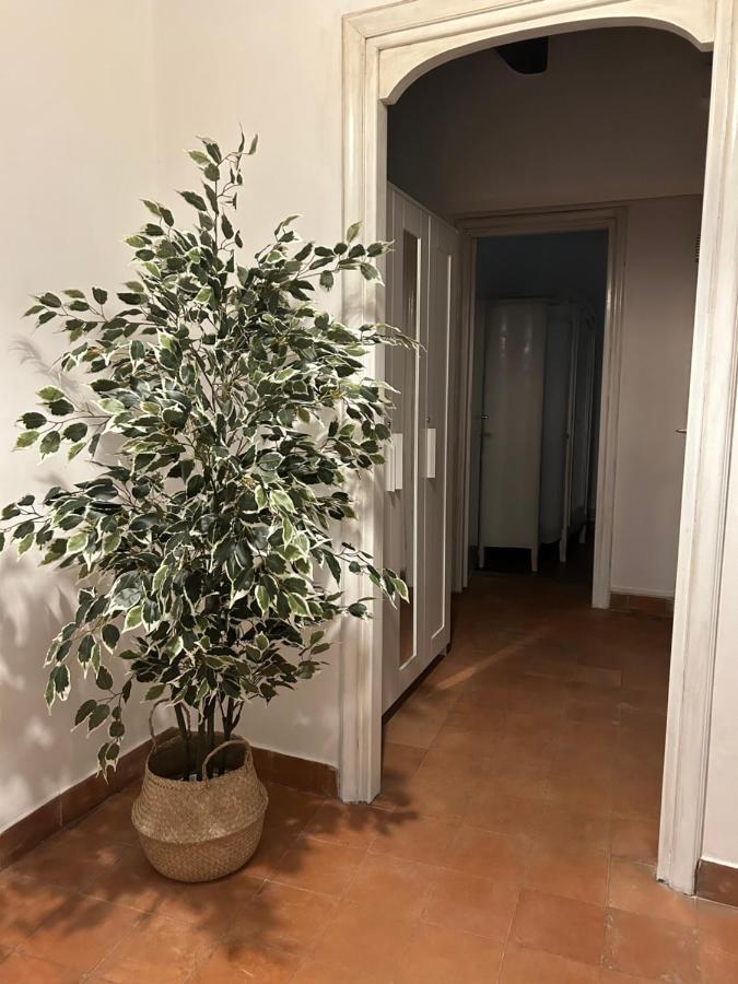 La Casa Di Gioia Apartment Ostia Antica Ngoại thất bức ảnh
