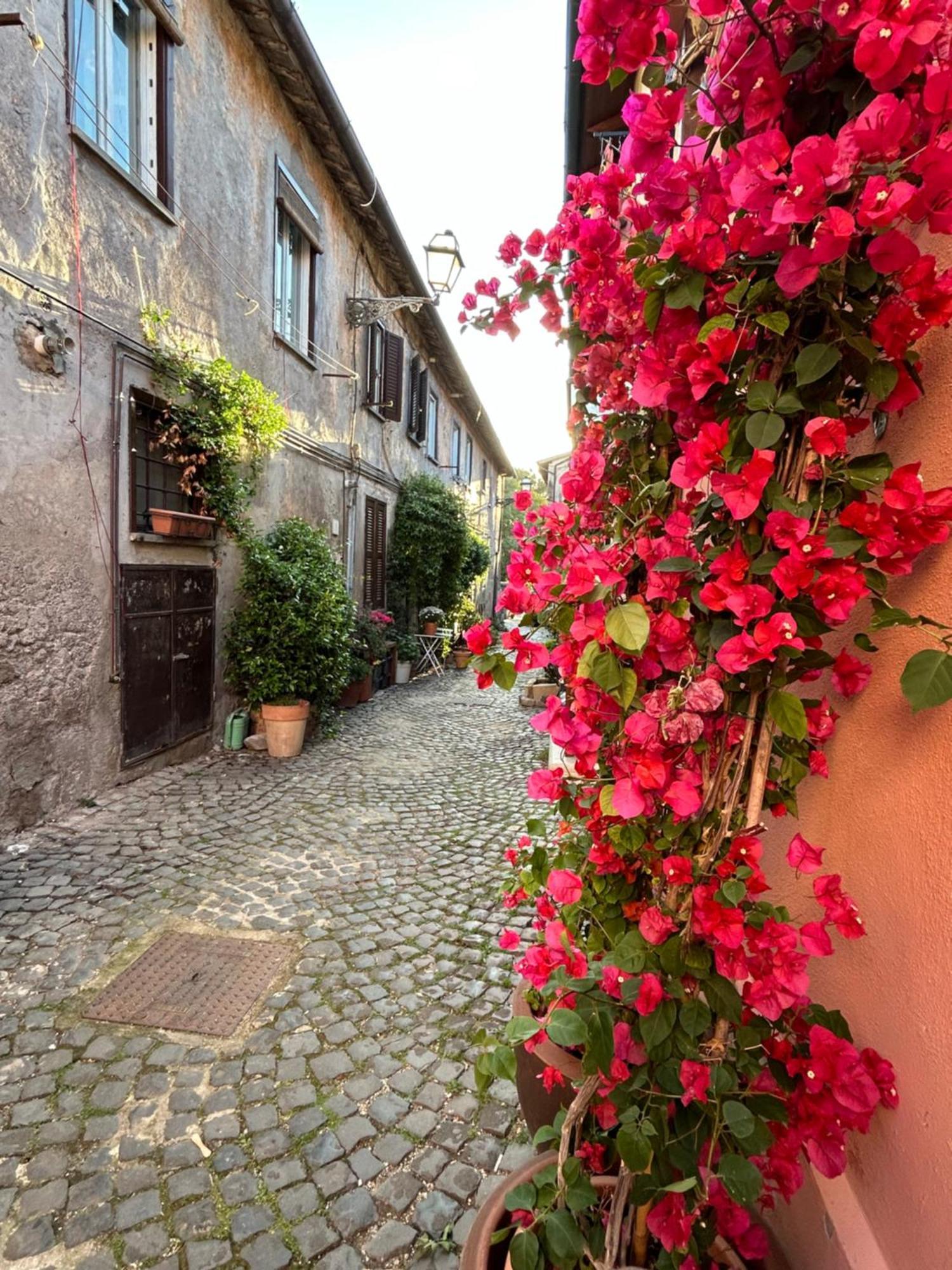 La Casa Di Gioia Apartment Ostia Antica Ngoại thất bức ảnh